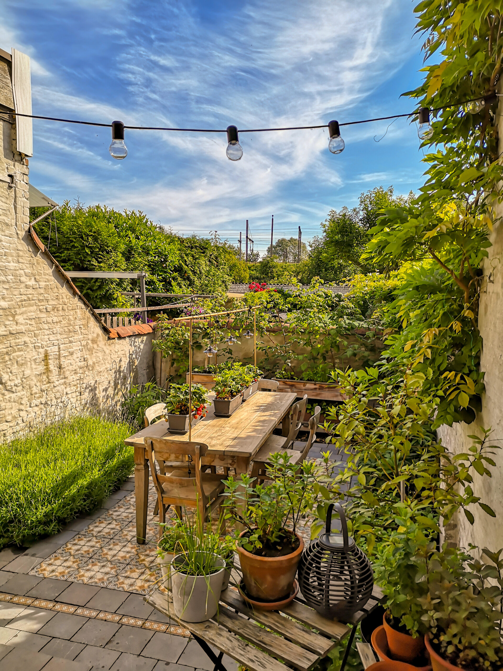Terasse avec petit jardin en bacs